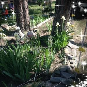 Meet your Posher, Vicki